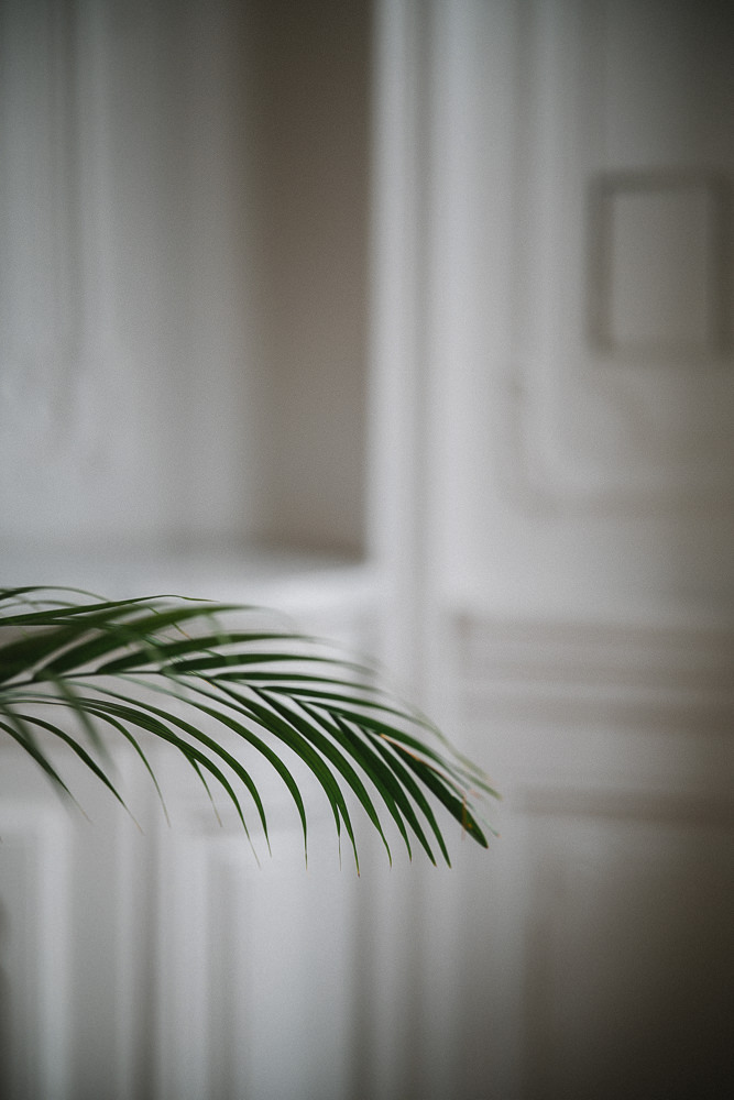 Viltrox 85mm 2.0 EVO